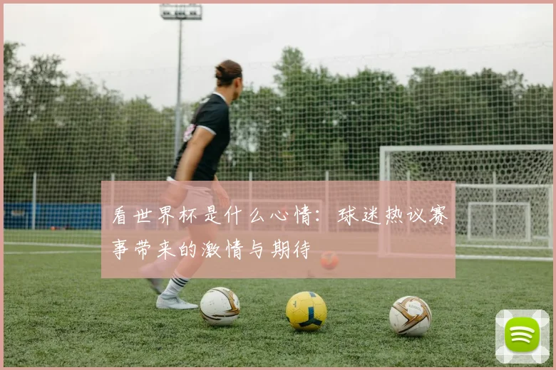 看世界杯是什么心情：球迷热议赛事带来的激情与期待