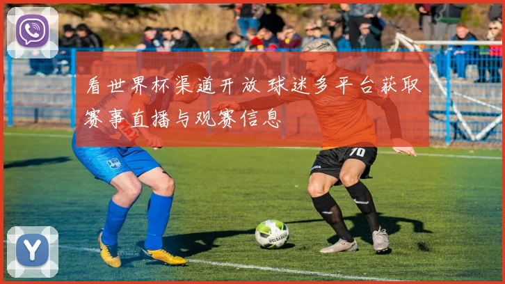 看世界杯渠道开放 球迷多平台获取赛事直播与观赛信息