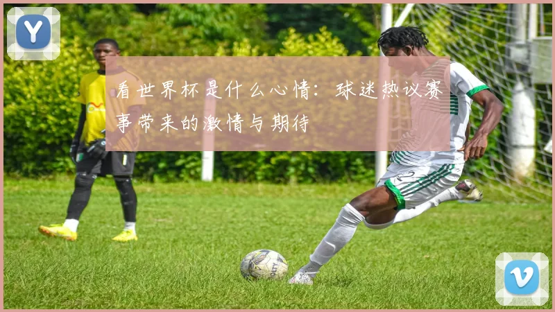 看世界杯是什么心情：球迷热议赛事带来的激情与期待